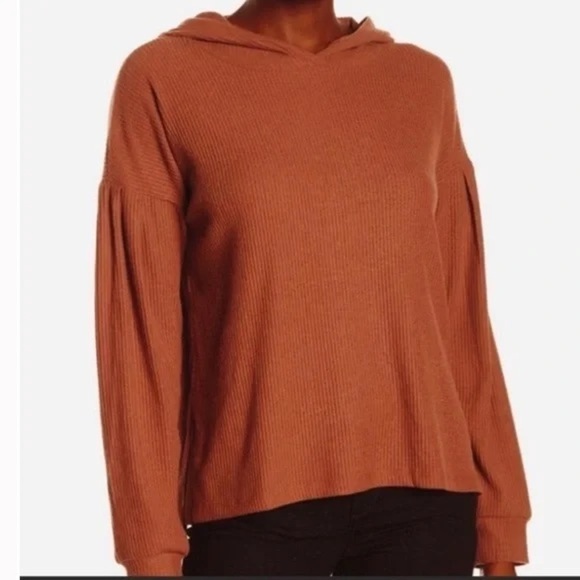 PST by PROJECT SOCIAL T Nordstrom Wren Cozy Ribbed Pullover Hoodie in Rust - Picture 1 of 6